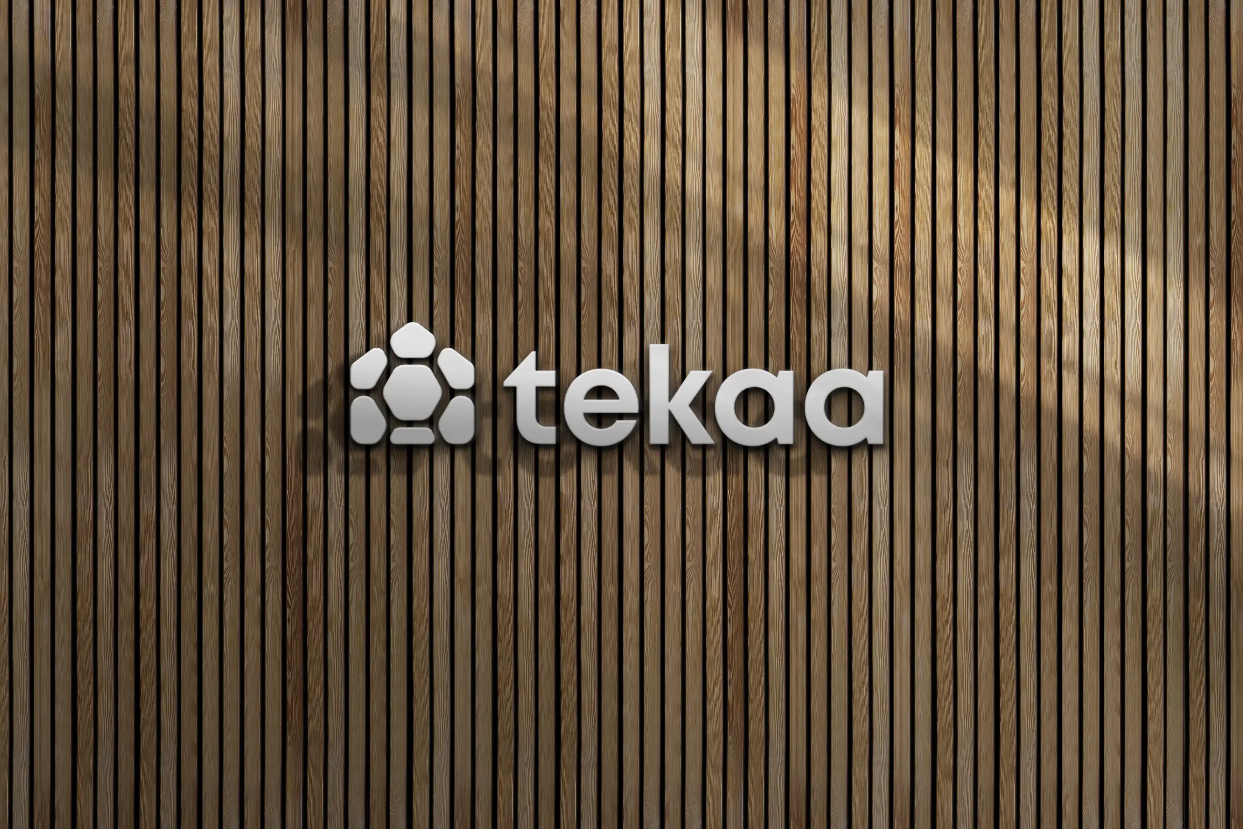 Cover tekaa scaled