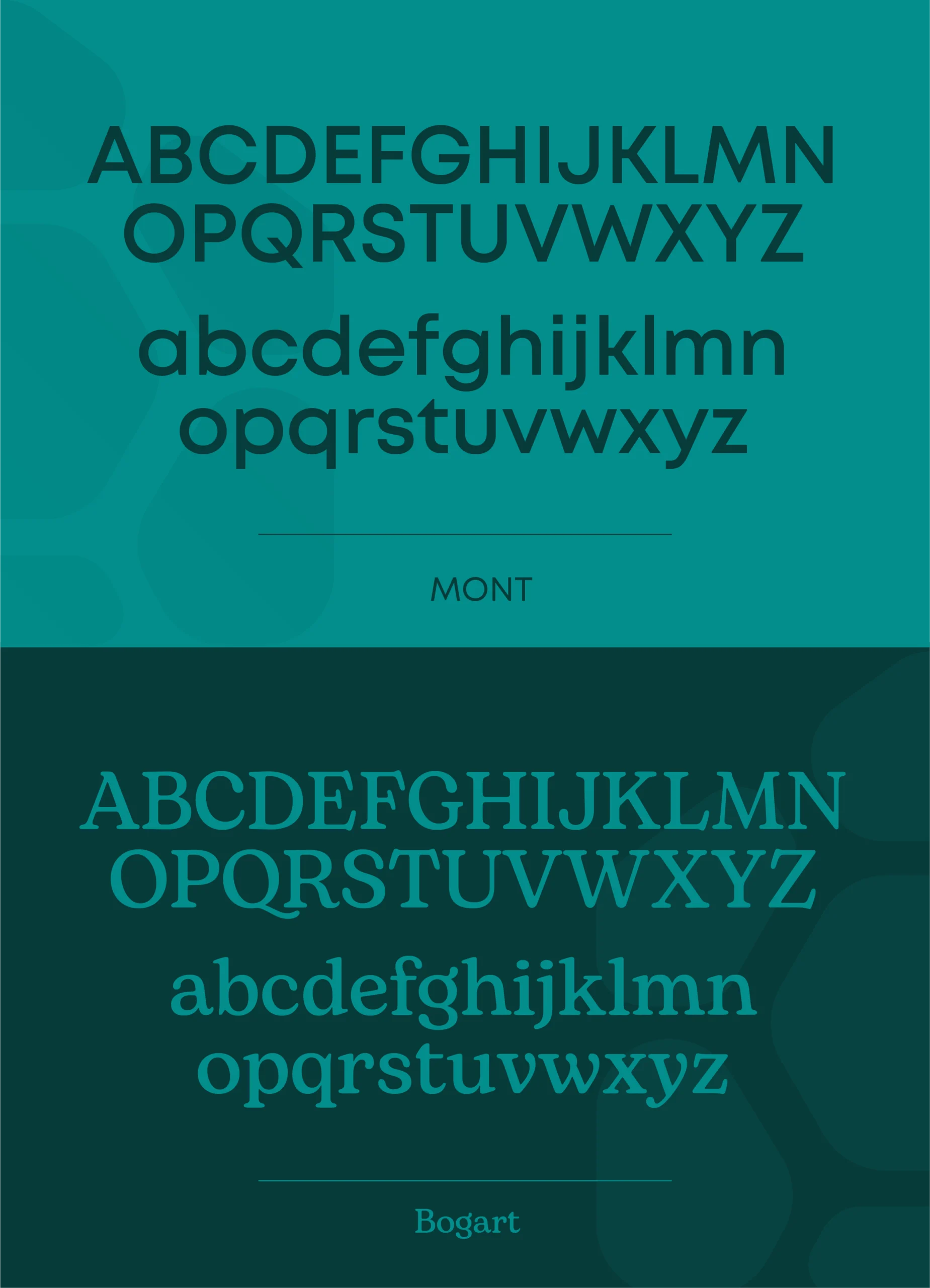 Tipografia Tekaa scaled