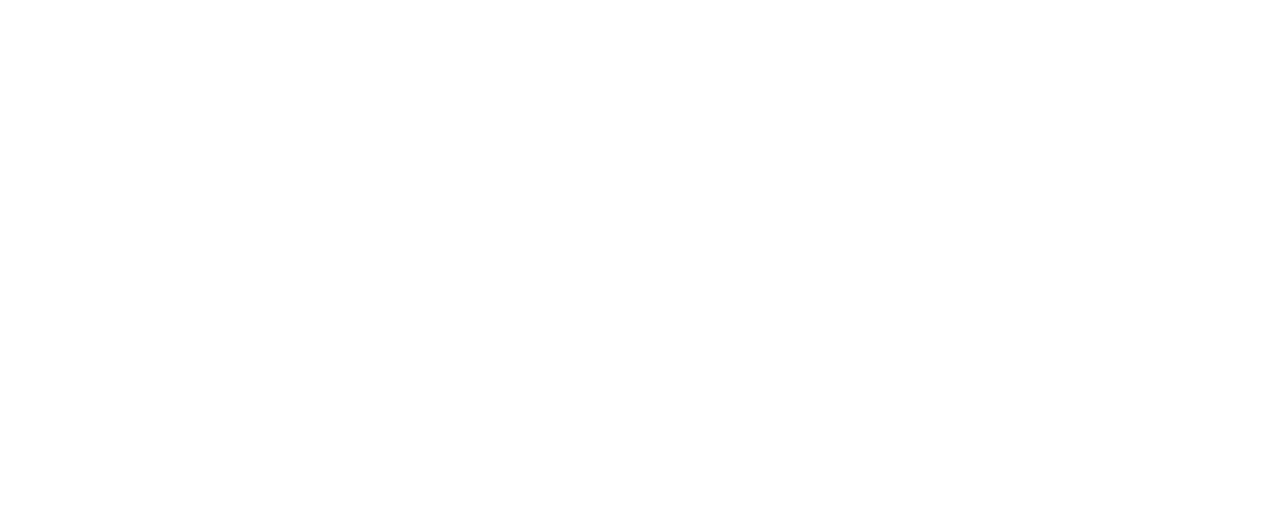 Logo monocromatico bianco scaled